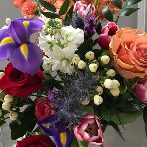 Meet your Posher, Haley